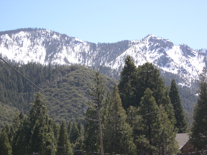 DSCN3009