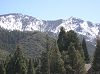 DSCN3009_mini.jpg