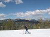 DSCN3018_mini.jpg