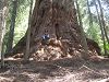 DSCN3258_mini.jpg