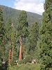 DSCN3289_mini.jpg