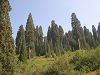 DSCN3291_mini.jpg