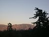 DSCN3342_mini.jpg