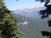 DSCN3355_mini.jpg