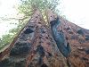 DSCN3370_mini.jpg