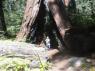 thm_DSC00060.jpg