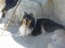 thm_DSC00135.jpg