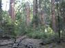 thm_DSC00014.jpg