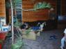 thm_DSC00018.jpg