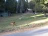 thm_DSC00019.jpg