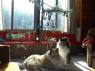 thm_DSC00025.jpg