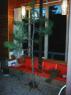 thm_Dsc00015.jpg
