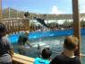 thm_DSC00150.jpg